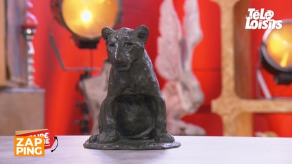 Affaire conclue : record des ventes battu dans l'émission grâce à ce lionceau