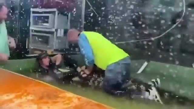 सोशल मीडिया पर मगरमच्छ का वीडियो वायरल