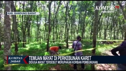Geger! Penemuan Mayat Di Kebun Karet Bandung Barat