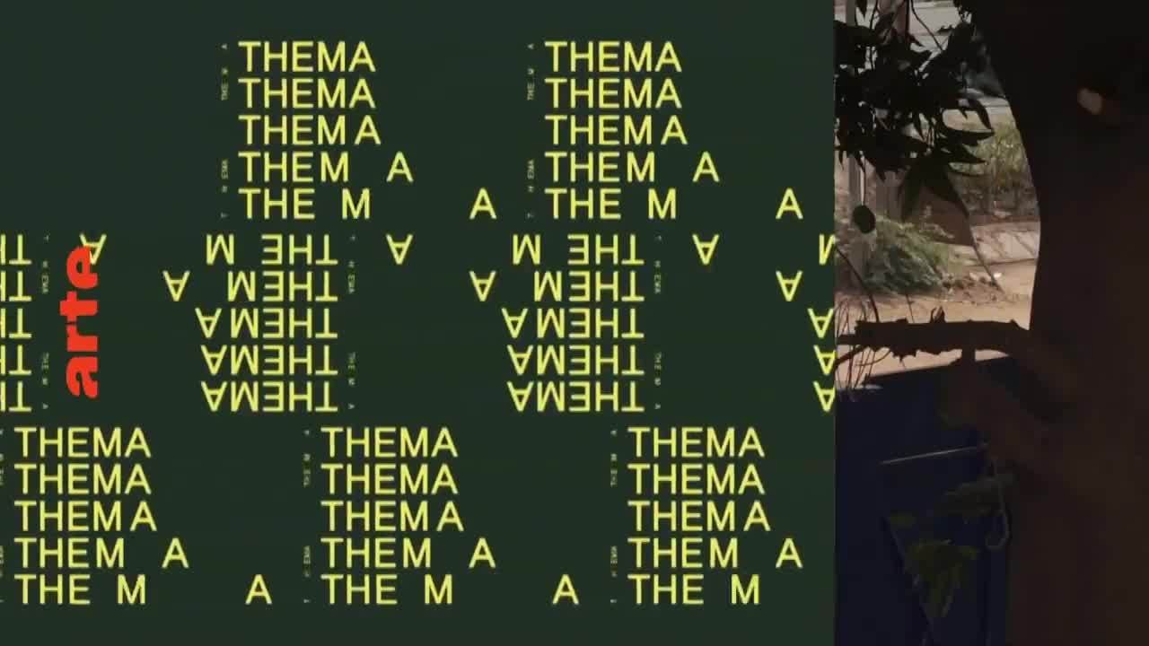 Thema : Qatar, guerre d’influence sur l’Islam d’Europe & Le liban, otage du Moyen-Orient :  24 septembre