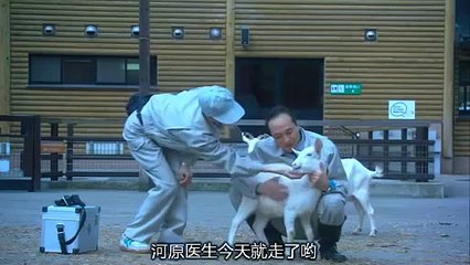 日劇-我的前進之道06