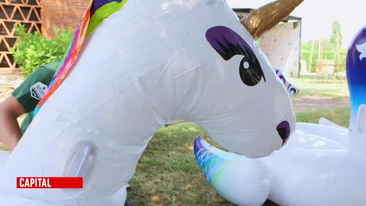 Exclu. Capital (M6) : contre la canicule, ils organisent une pool party avec un paon et une licorne gonflables !