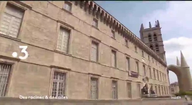 Des racines et des ailes : Passion patrimoine : Sur les routes de l'Hérault