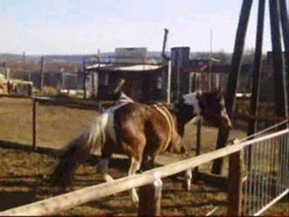 Rodeo rancho pepe