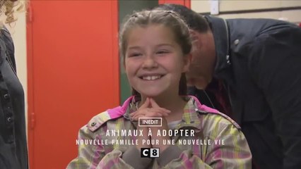 Animaux à adopter : nouvelle famille pour une nouvelle vie - 13 septembre