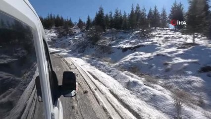 Elazığ'da sokak ve yaban hayvanları için 90 farklı noktaya yem bırakıldı