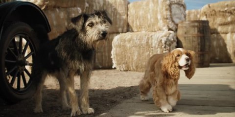 La Belle et le Clochard - Bande annonce