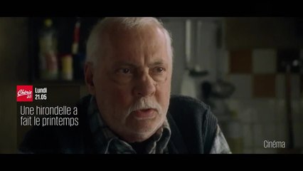 Une hirondelle a fait le printemps - 19 août