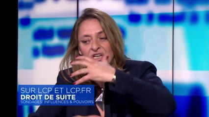 Sondages, influences et pouvoirs