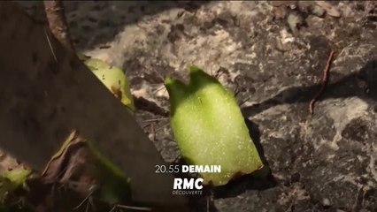 Retour à l’instinct primaire - 3 août