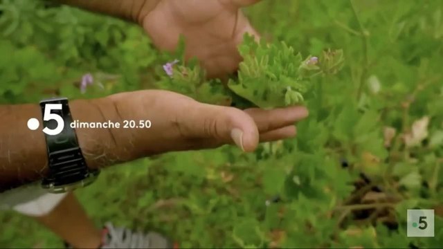 Les 100 lieux qu'il faut voir : La Réunion, de l'Océan Indien au Piton de la Fournaise