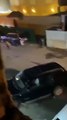 فيديو متداول لفتاة تقبض على أسد هارب في الكويت