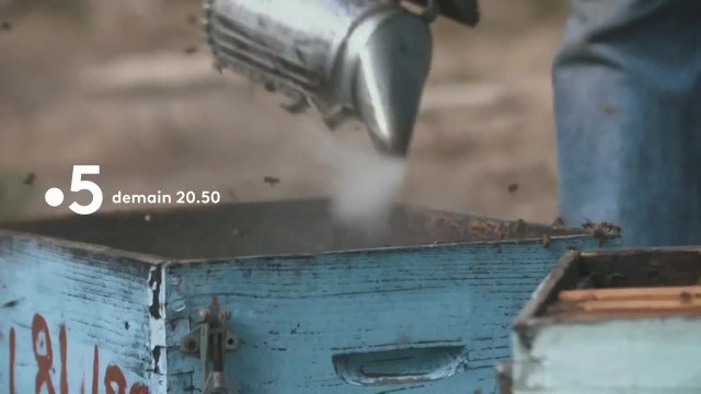 Zones bleues, les secrets de la longévité - 30 juillet