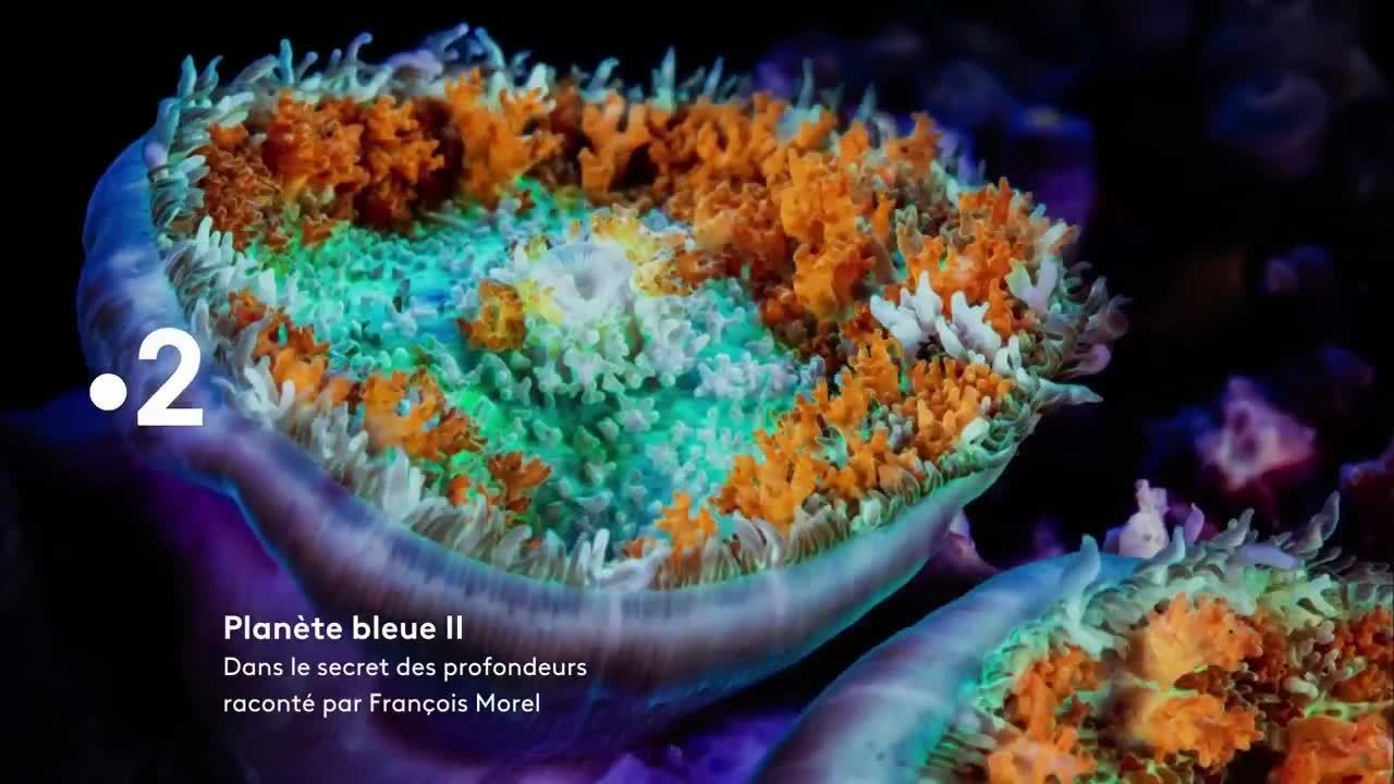 Planète bleue 2 - 20 août