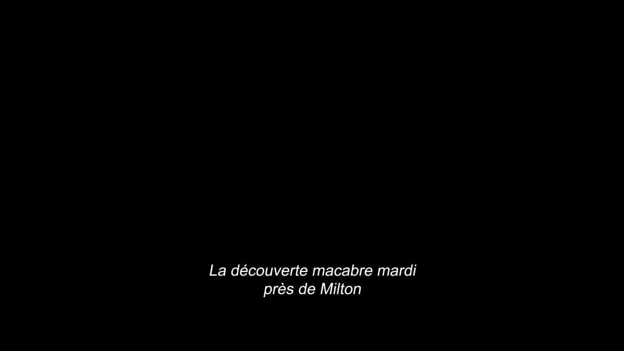 The Voices
