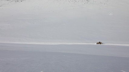 Etkili olan kar, kırsal bölgelerde hayatı olumsuz etkiledi