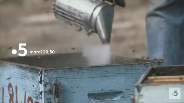 Zones bleues, les secrets de la longévité : Grèce