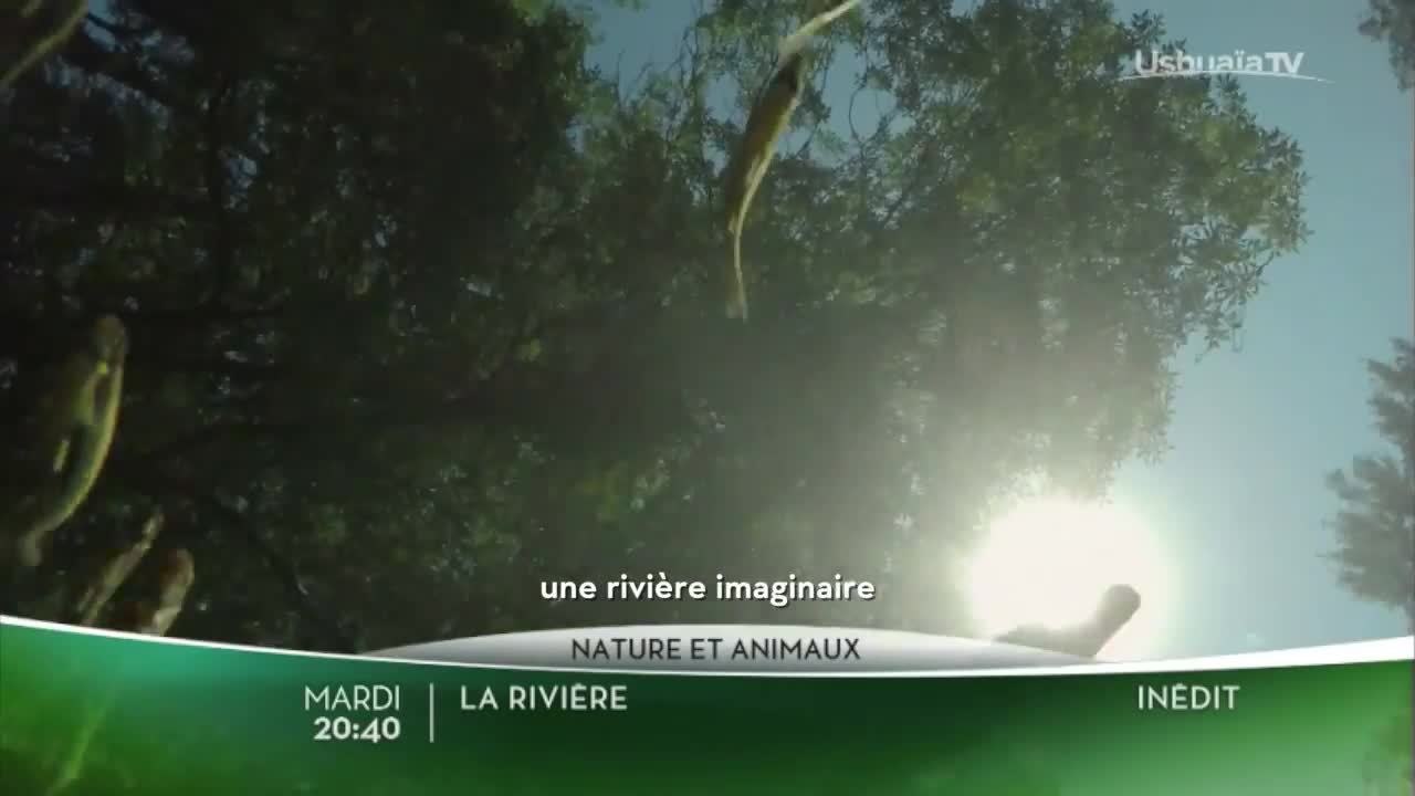 La rivière