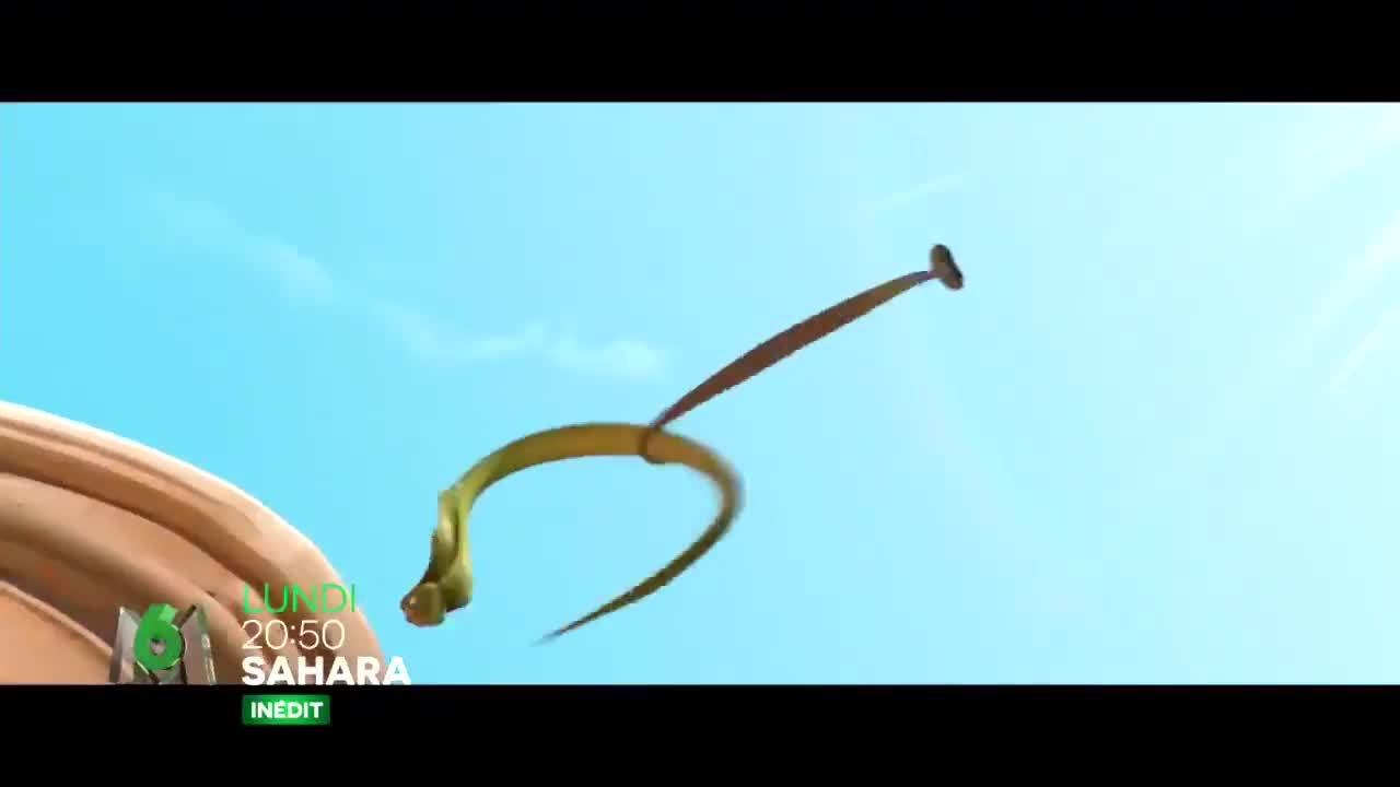 Sahara