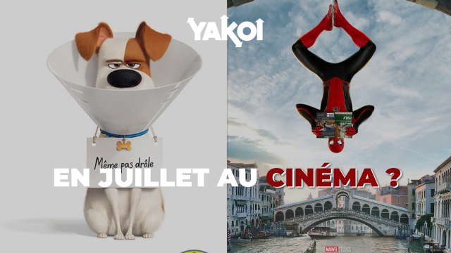 Yakoi au cinéma en juillet ? Spider-Man Far from home, Le Roi lion, Annabelle 3...