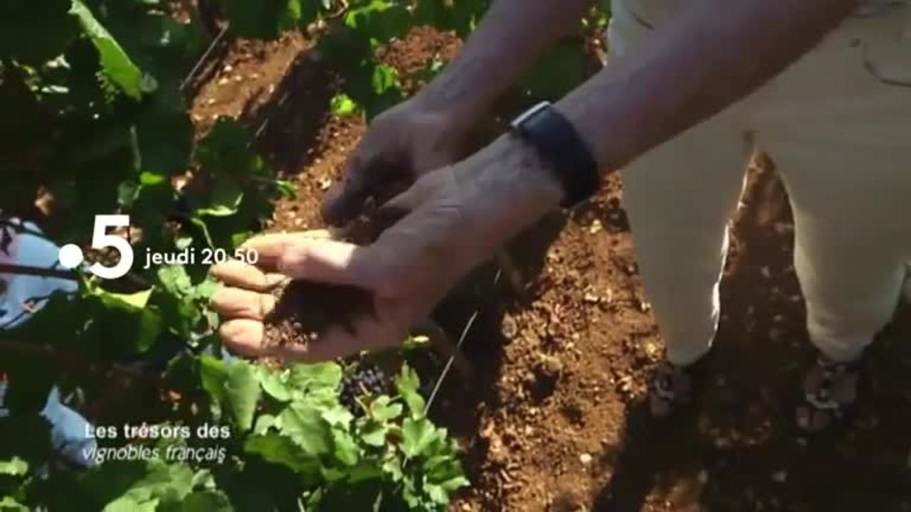 Les trésors des vignobles français - 4 juillet