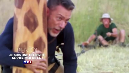 Je suis une célébrité, sortez-moi de là !: Episode 1