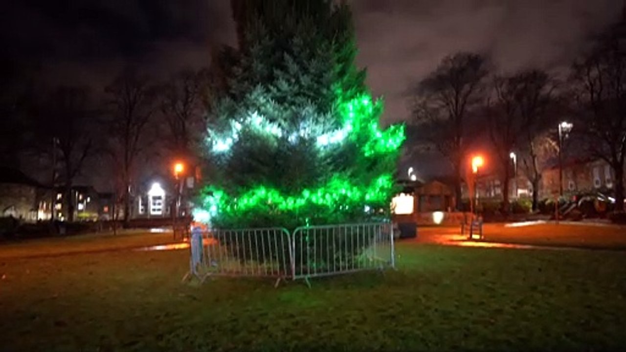 ELF AND SAFETY GONE MAD -A town's Christmas tree has been branded a 'shambles' after only its bottom half was decorated - because health and safety concerns meant it was unsafe to light the top