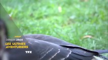 Les ultimes aventuriers : Ils parlent à l'oreille des animaux