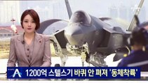 1200억  F-35A 스텔스기 바퀴 안 펴져 ‘동체착륙’