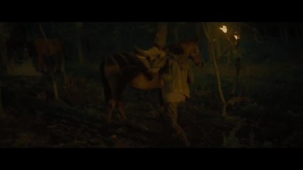 Robin des Bois, la véritable histoire