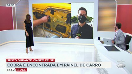 Motorista flagra cobra dentro de painel de carro enquanto dirigia na Rodovia Oswaldo Cruz, sentido Taubaté, interior de São Paulo. A PM ambiental foi acionada e fez o resgate.