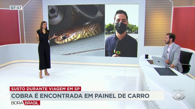 Mais de 200 mil vagas em concursos públicos estão abertas em todo país. Especialista garante que este é um dos melhores anos da história para ingressar no serviço público.