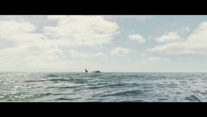 En eaux troubles