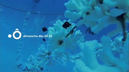 Passion outre-mer - 9 juin