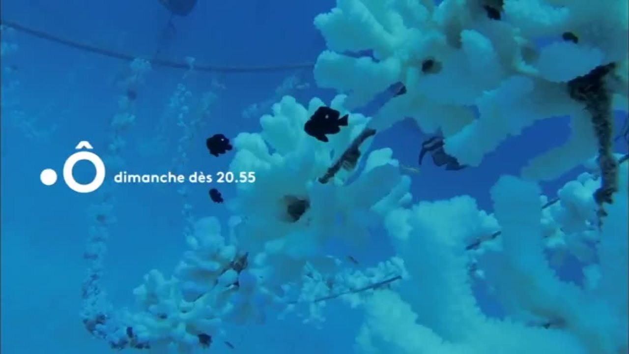 Passion outre-mer - 9 juin