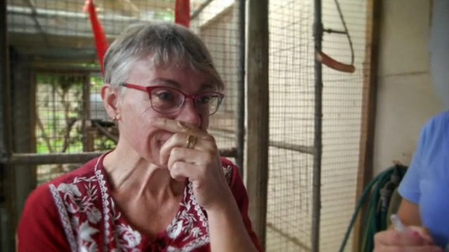 Exclu. Nouvelle vie (M6) : découvrez les premières images de la nouvelle émission d'Ophélie Meunier