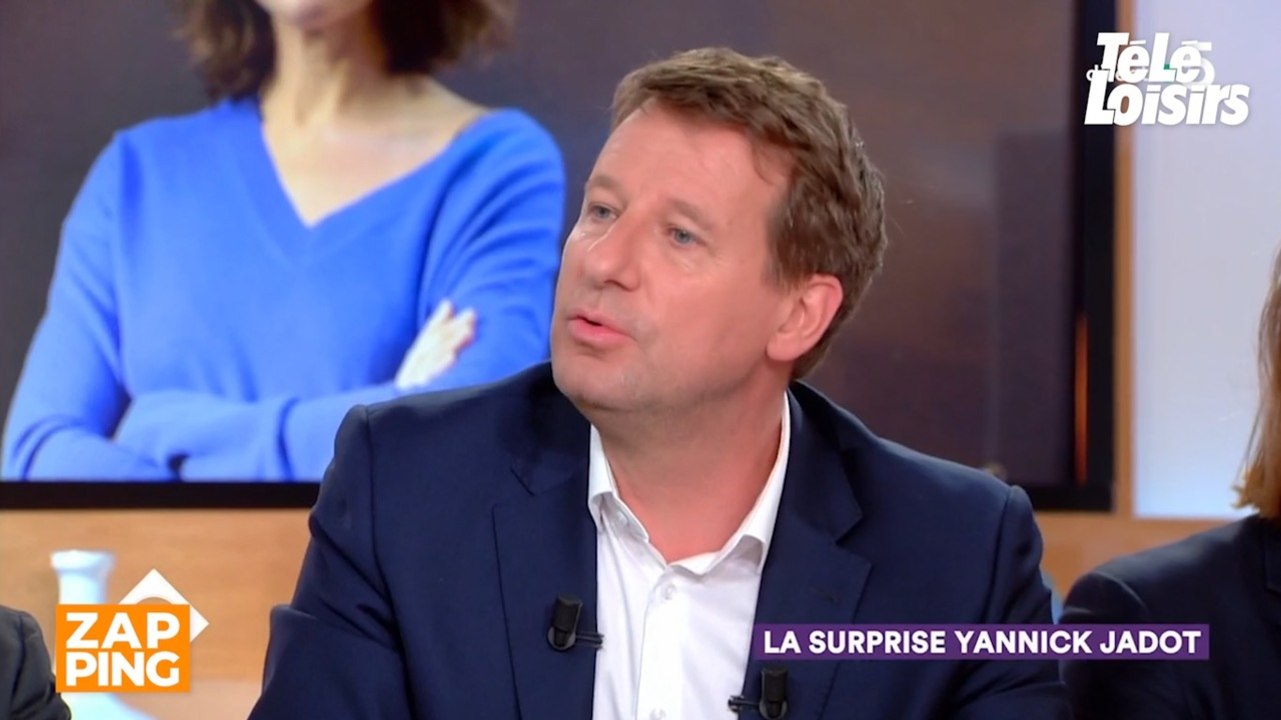 Yannick Jadot prend la défense de sa compagne Isabelle Saporta sur le plateau de C à vous