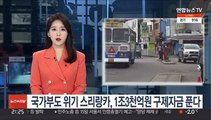 국가부도 위기 스리랑카, 1조3천억원 구제자금 풀기로