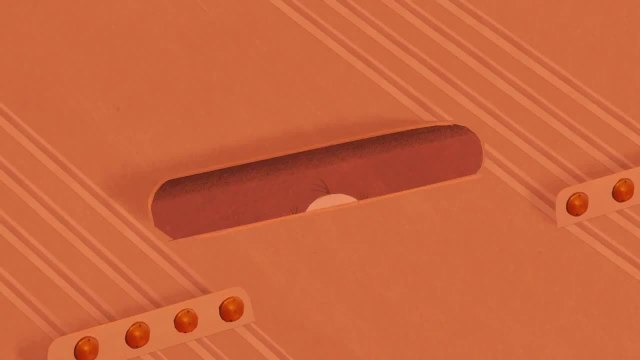 Le _garçon et le _monde