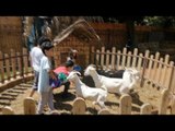 حديقة الطفل تستقبل الزوار: يكمنك التعامل مع الحيوان مباشرة
