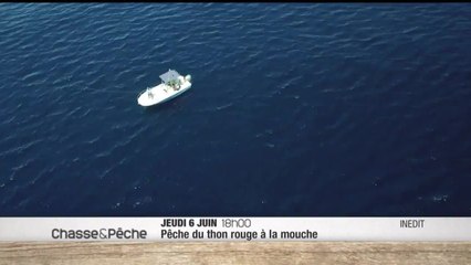 La pêche du thon rouge à la mouche