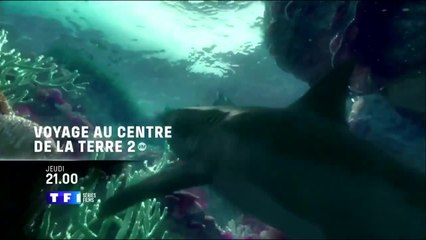 Voyage au centre de la terre 2 : l'île mystérieuse