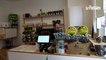 «Je vais continuer à vendre des fleurs» : ce vendeur de CBD refuse l'interdiction de son produit