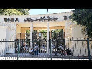 إقبال بسيط لمواطنين أمام حديقتي النهضة والحيوان: كنا فاكرينها فاتحة