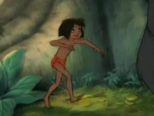 Le livre de la jungle - 28 avril