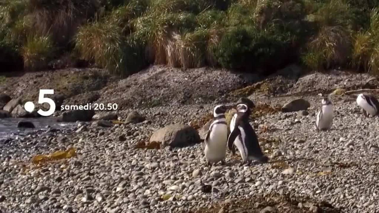 Échappées belles : Patagonie, le grand spectacle de la nature - 20 avril
