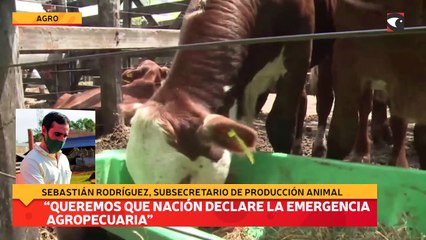 “Queremos que Nación declare  la Emergencia Agropecuaria”