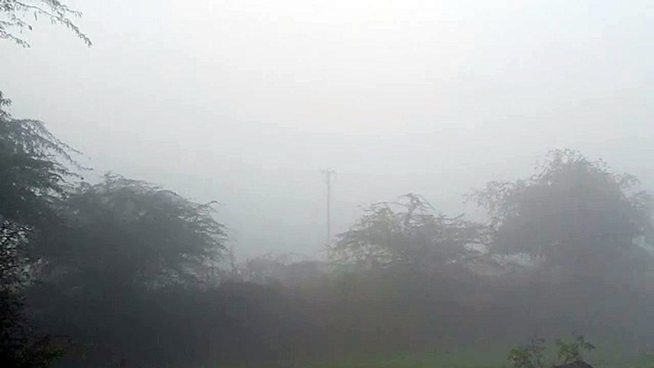 Weather News- 23 जिलों में मेघगर्जन के साथ बरसात  का यलो अलर्ट