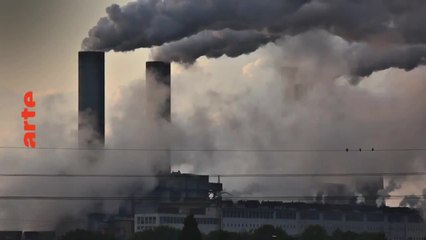 Pauvres poulets - 30 avril