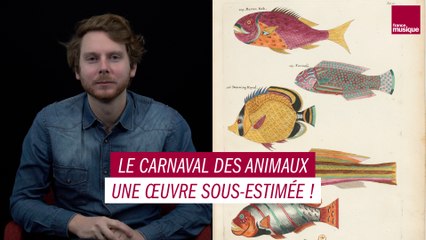 Le Carnaval des animaux : une œuvre sous-estimée - MAXXI Classique